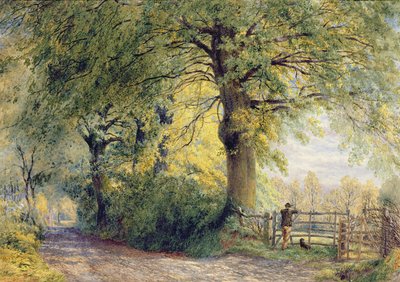 Under the Beeches by John Steeple
